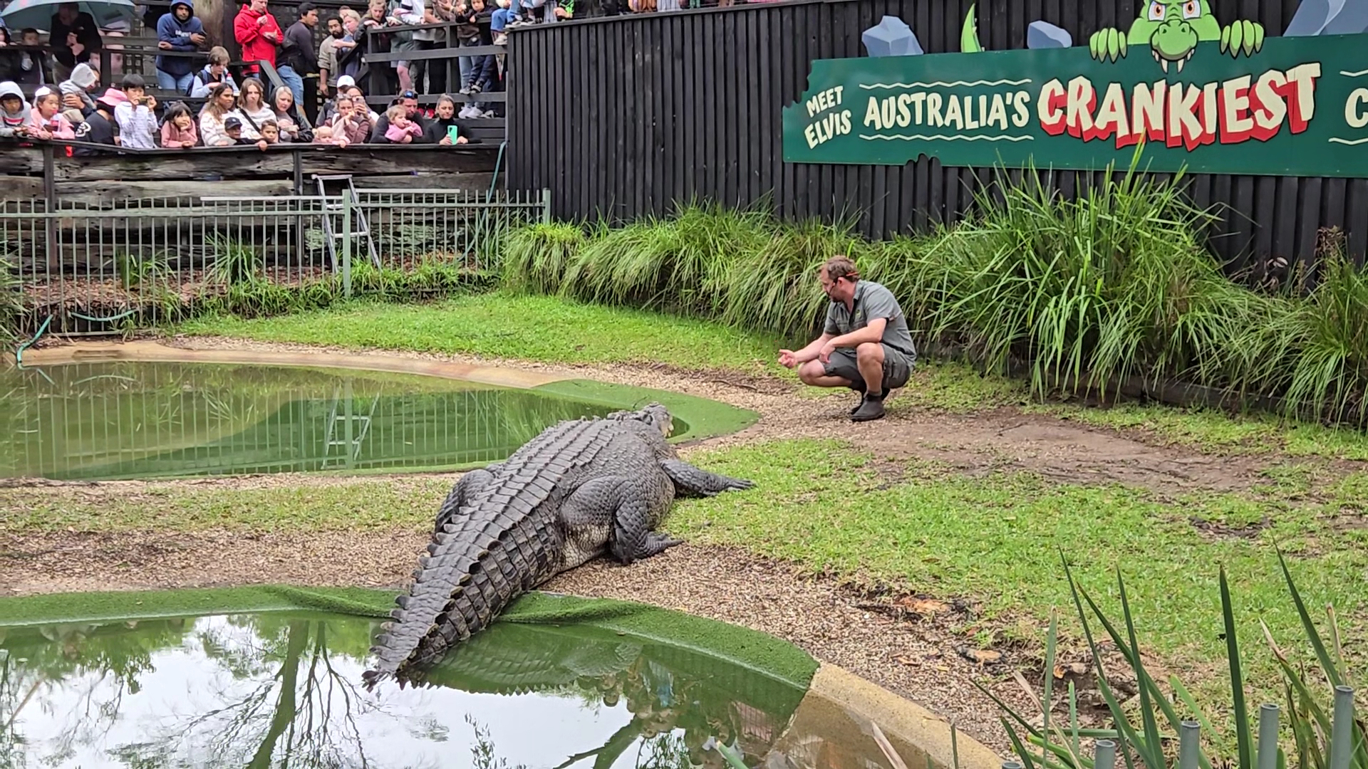 Australian Reptile Park photo 3