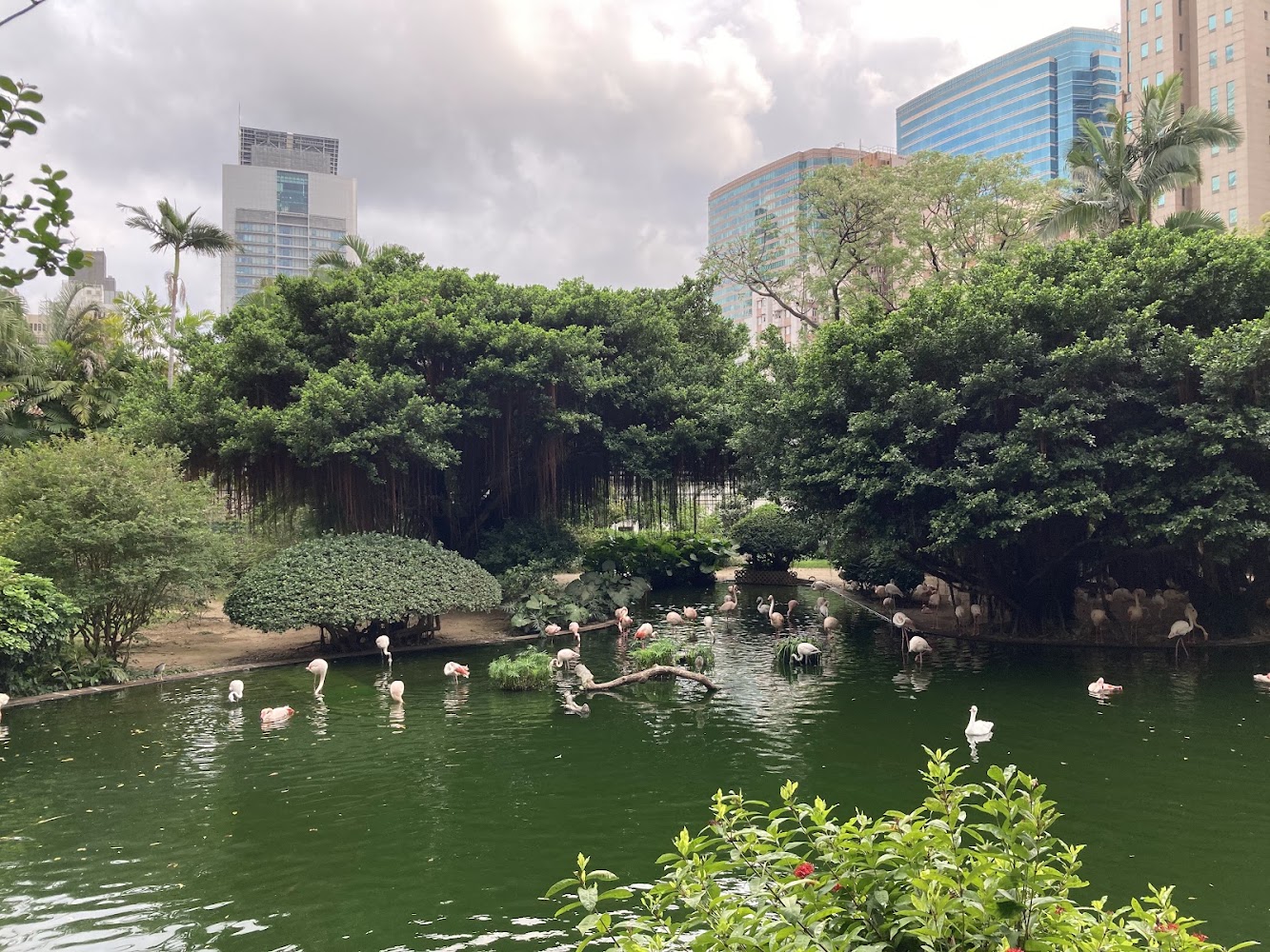 Aviary, Kowloon Park photo 5