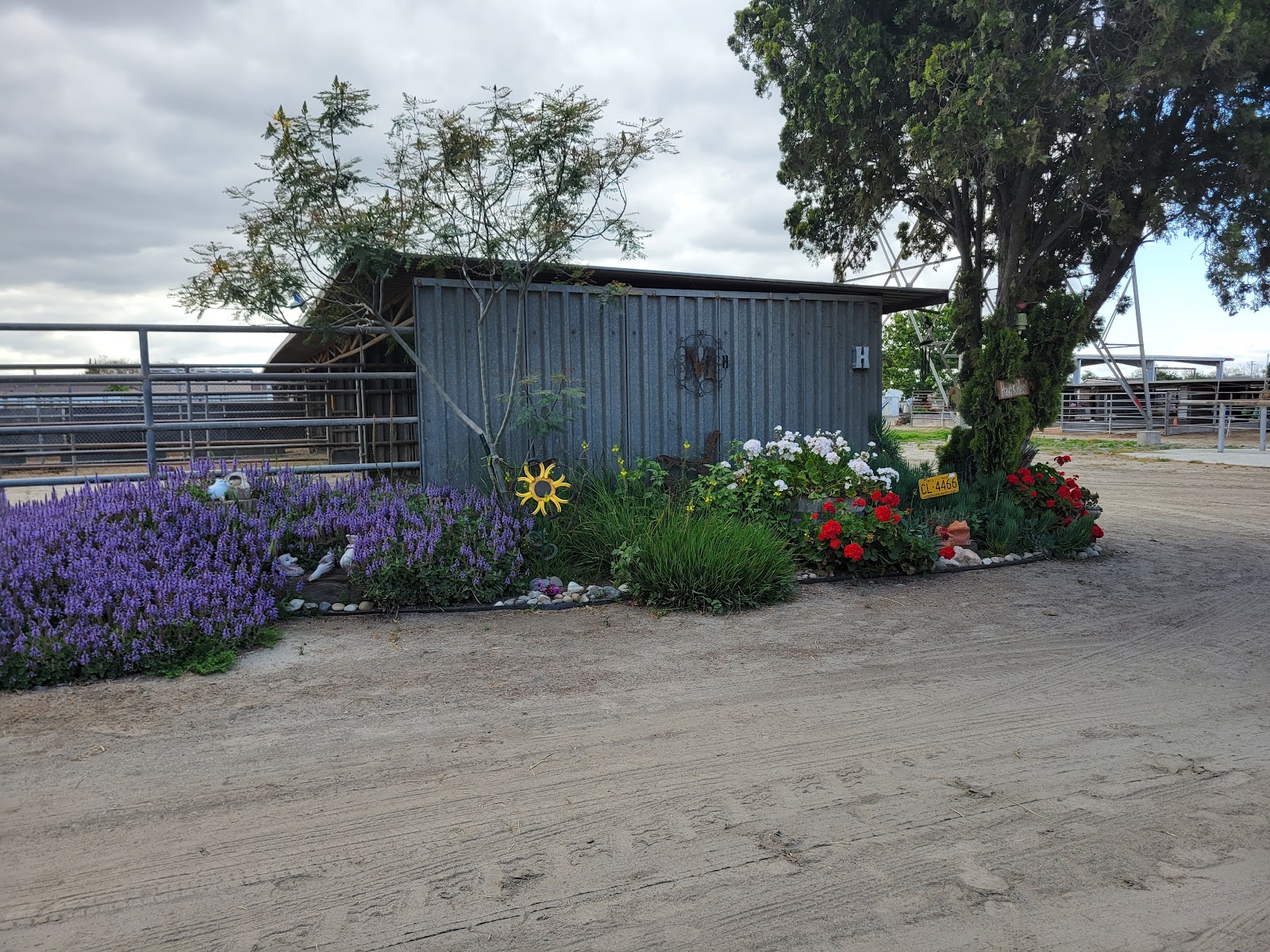 B & B Stables photo 2