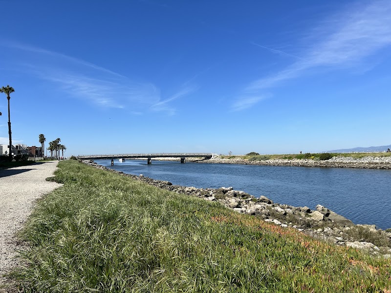 Ballona Saltwater Marsh and Dunes photo 2