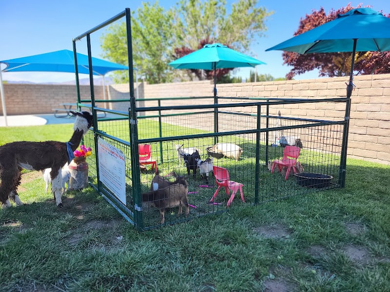 Barber Family Farm photo 2
