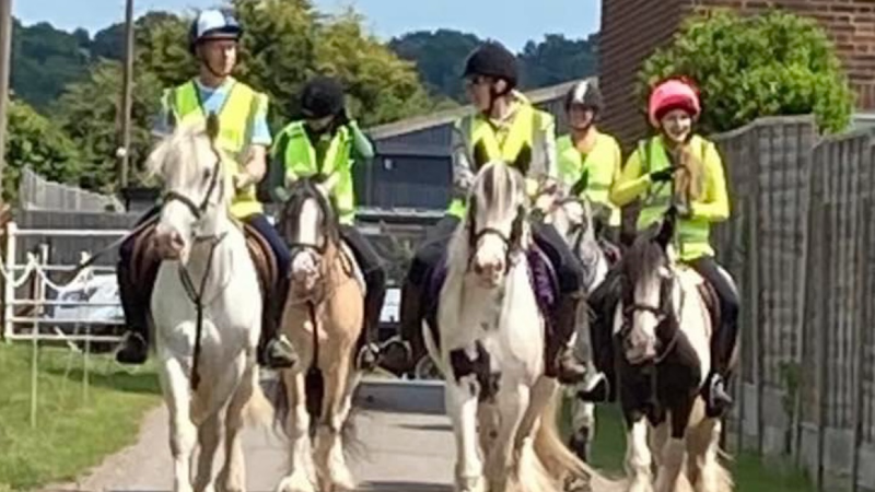 Photo of Barnfields Riding Stables in Greater London