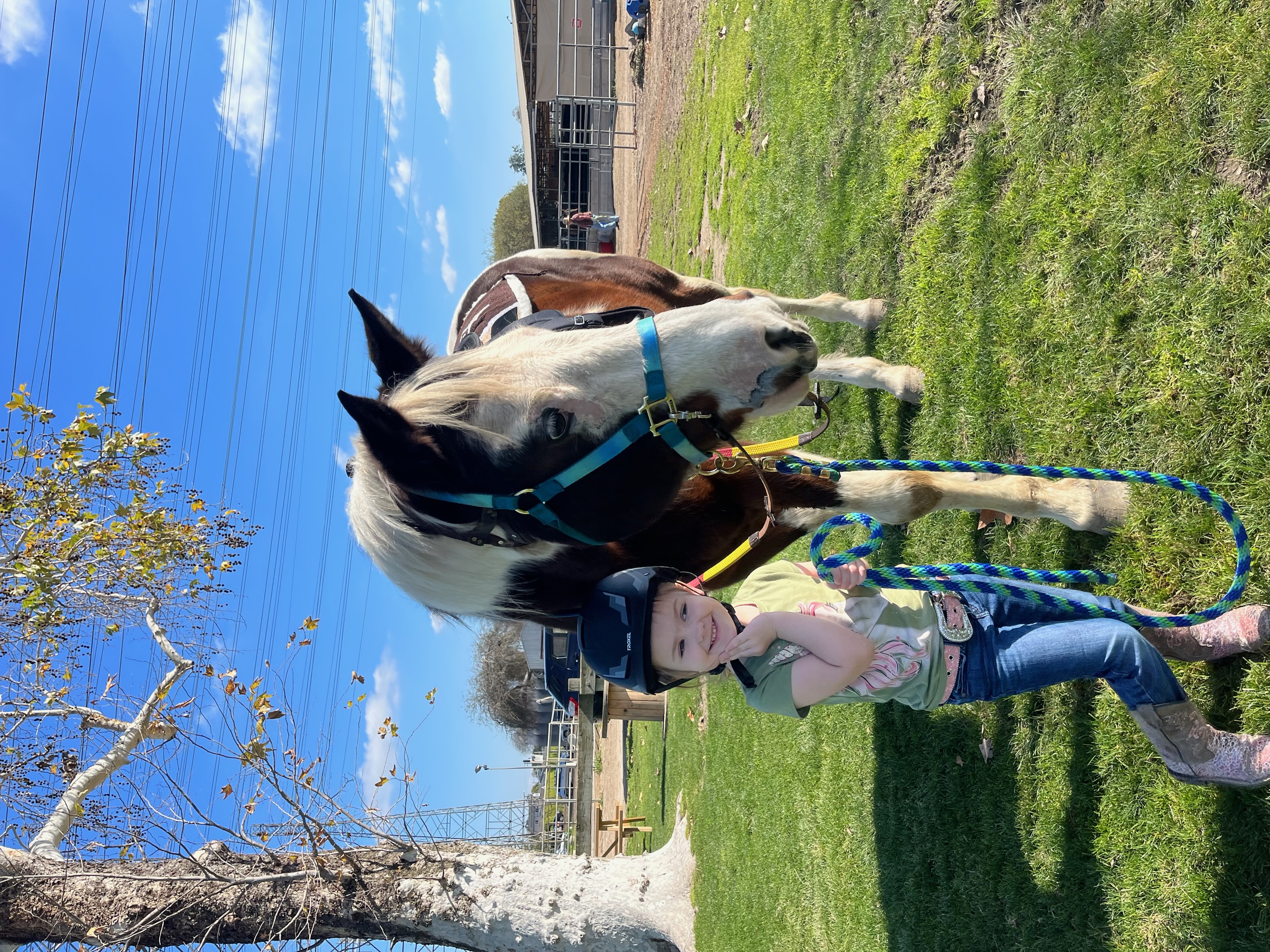 Barnyard Buddies photo 2