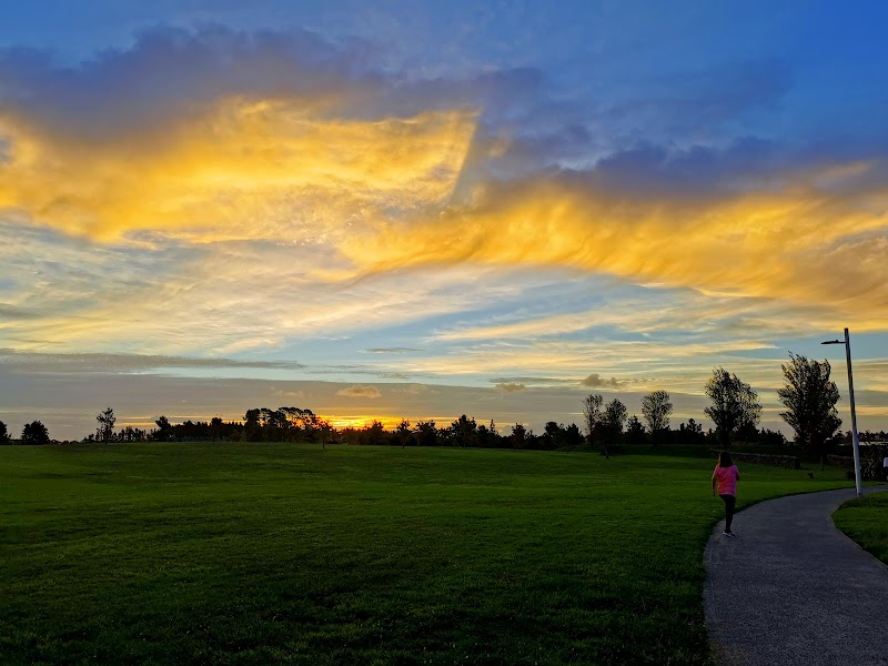 Barry Curtis Park Playgrounds photo 2