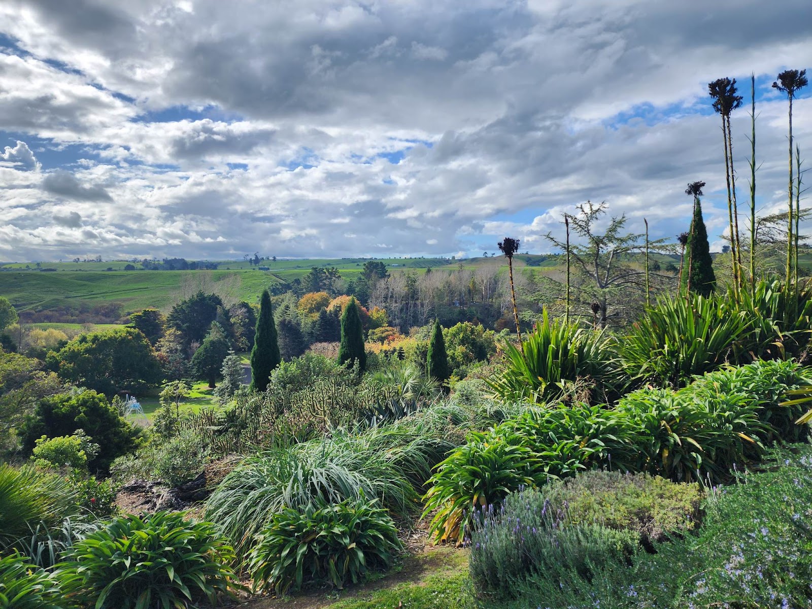 Bason Botanic Gardens photo 3