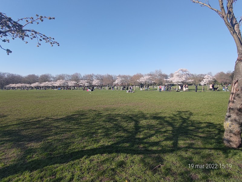 Battersea Park Playground photo 2
