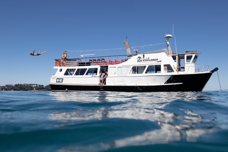 Bay Explorer - Dolphin and Wildlife Cruises photo 2