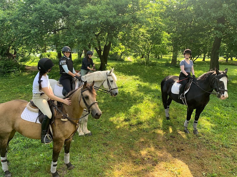 Be âĸ Brooklyn equine at Prospect Park Stable