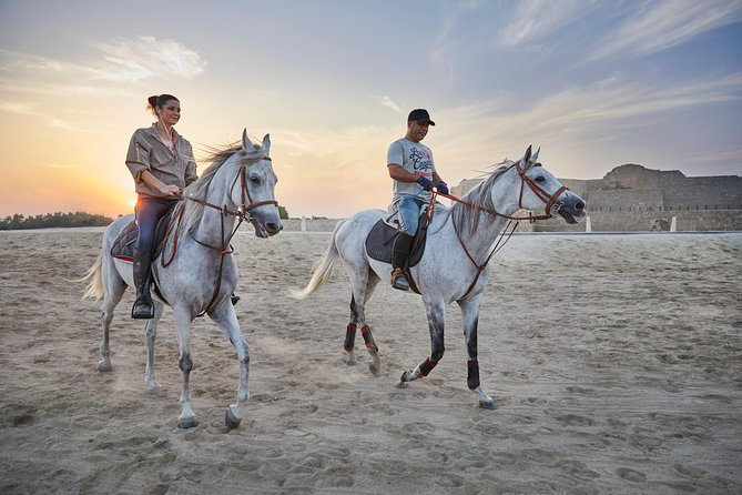 Beach Horse Riding Dubai