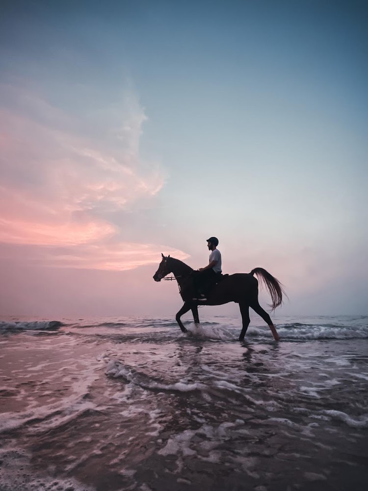 Beach Horse Riding Dubai photo 3