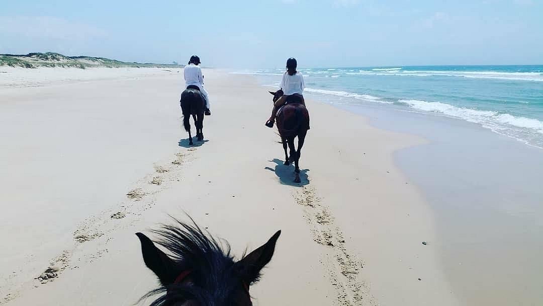 Beach Horse Riding Dubai photo 5