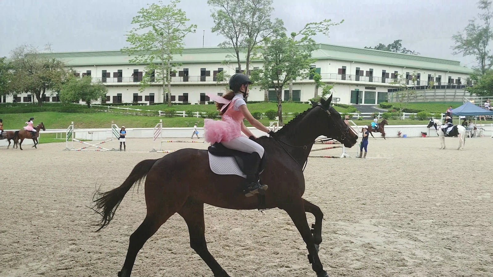 Beas River Equestrian Centre photo 4