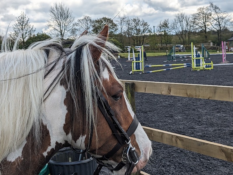 Photo of Beaver Hall Equestrian Centre in North West