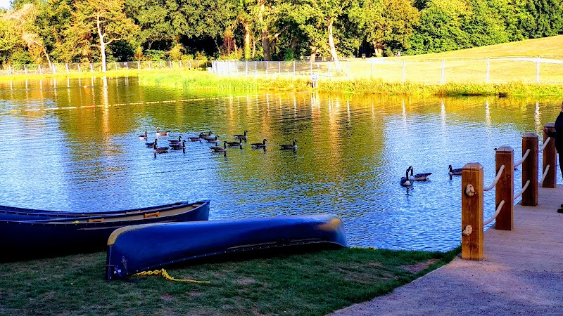 Beckenham Place Park Swimming Lake by PTP Coaching photo 2