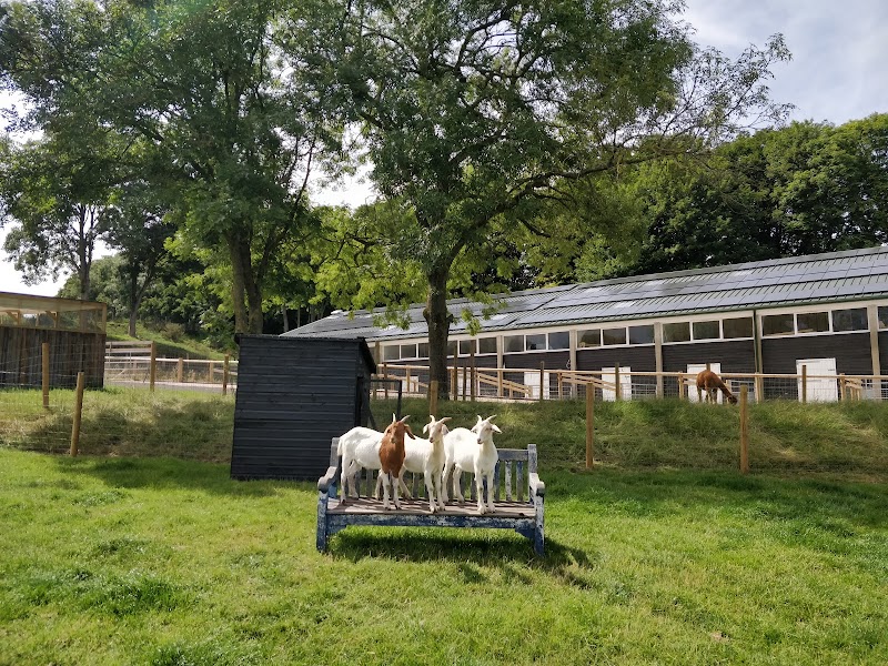 Belmont Farm