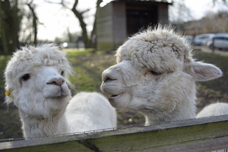 Belmont Farm photo 2