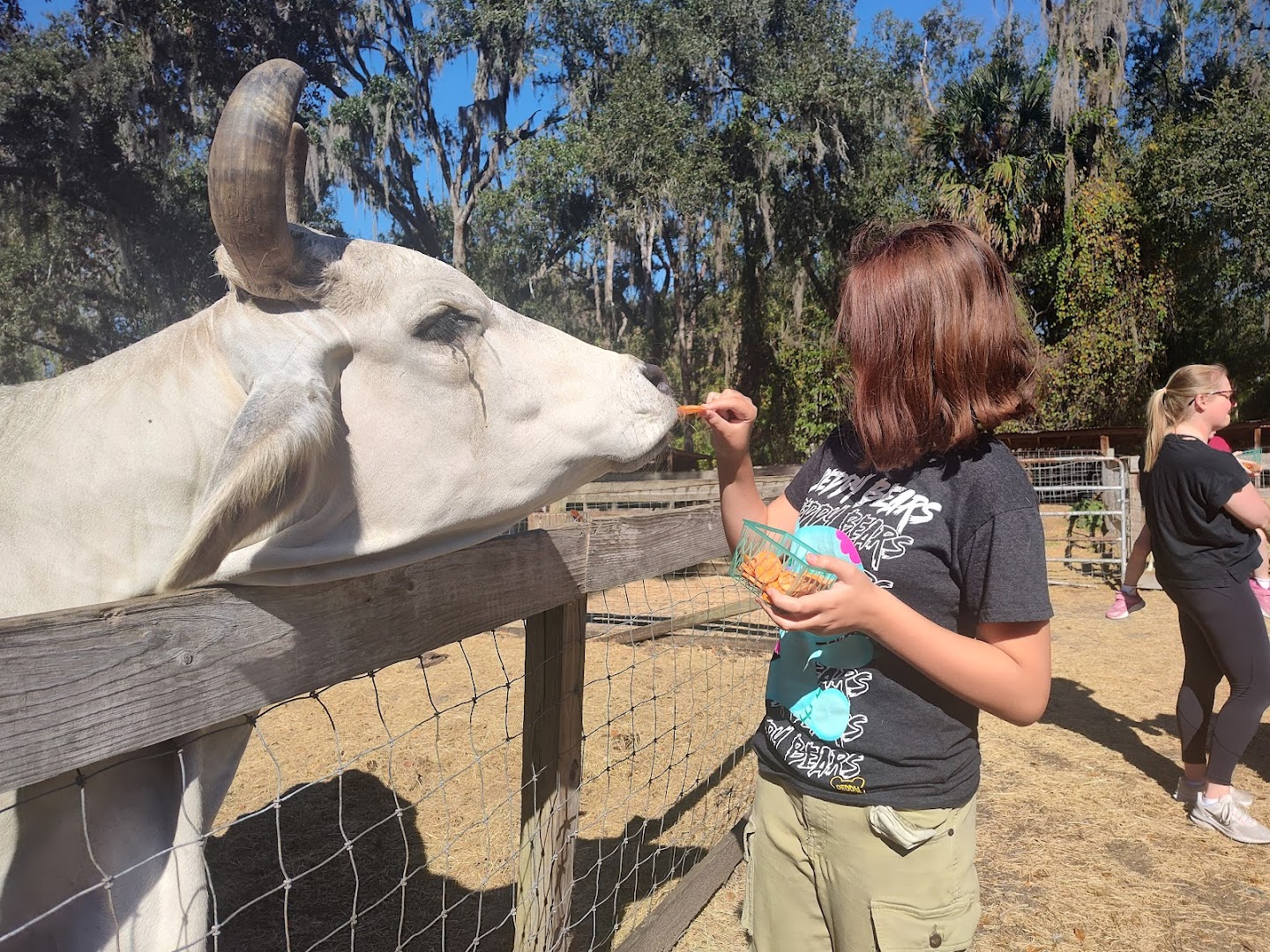 Bf Petting Zoo