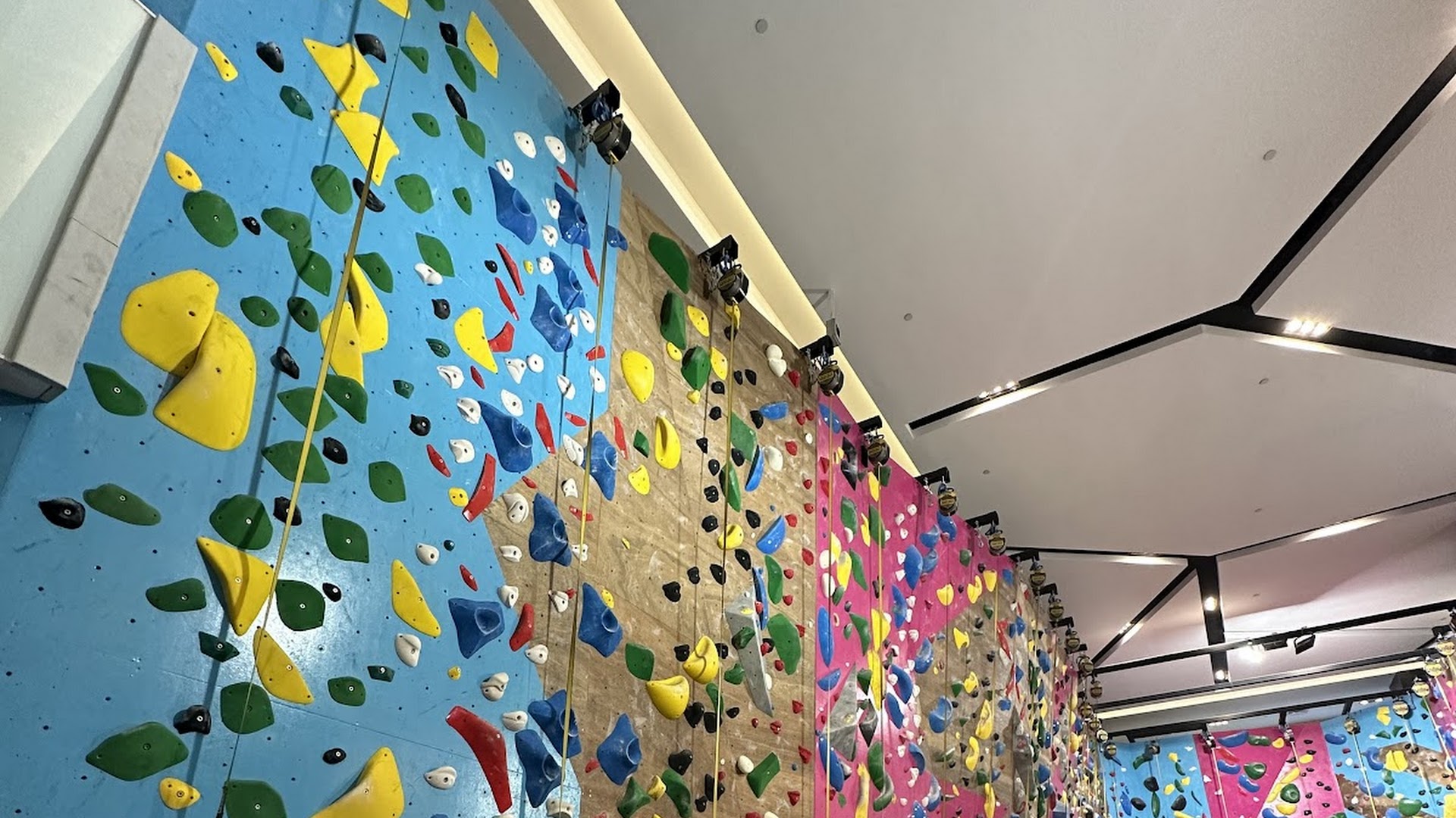 BFF Climb Bendemeer