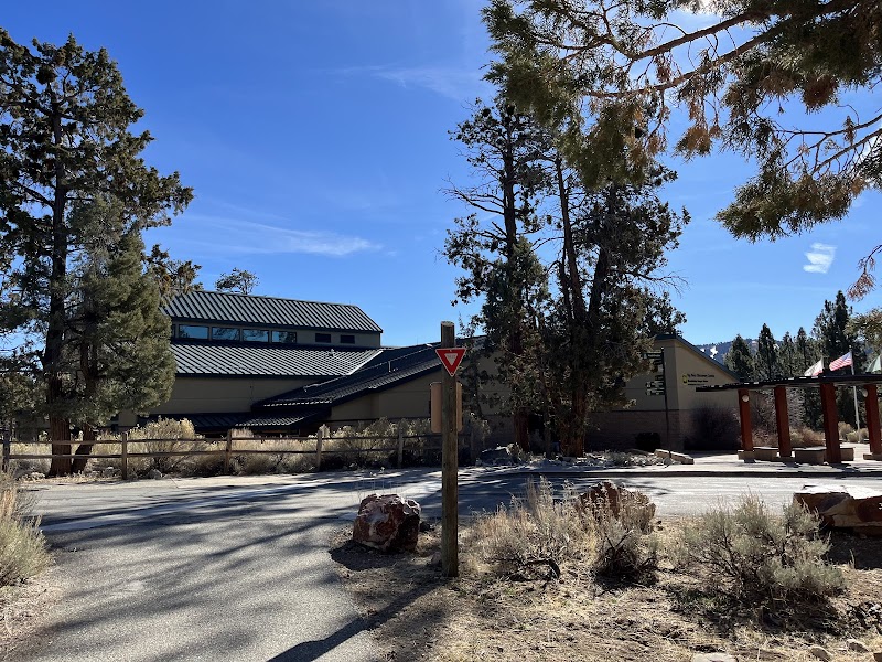 Big Bear Discovery Center photo 2