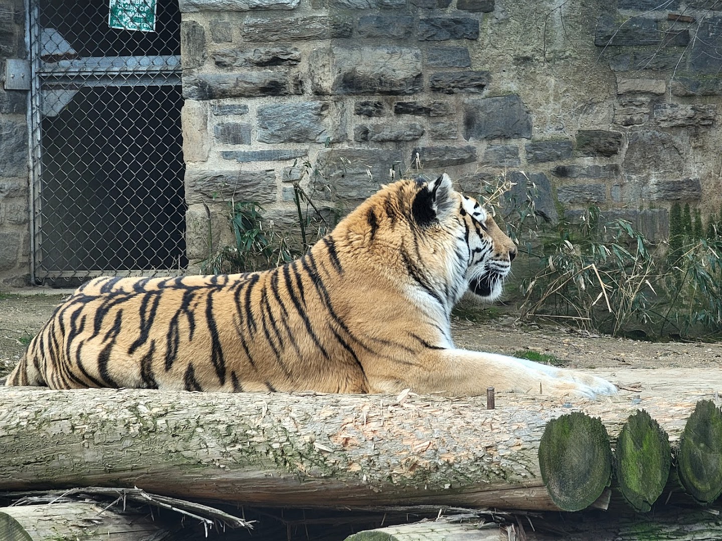 Big Cat Falls photo 2