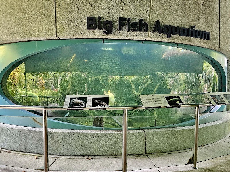 Big Fish Aquarium