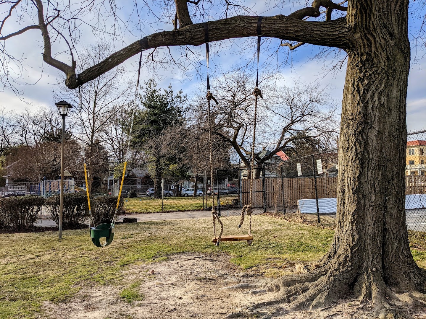 Big Oak Swing