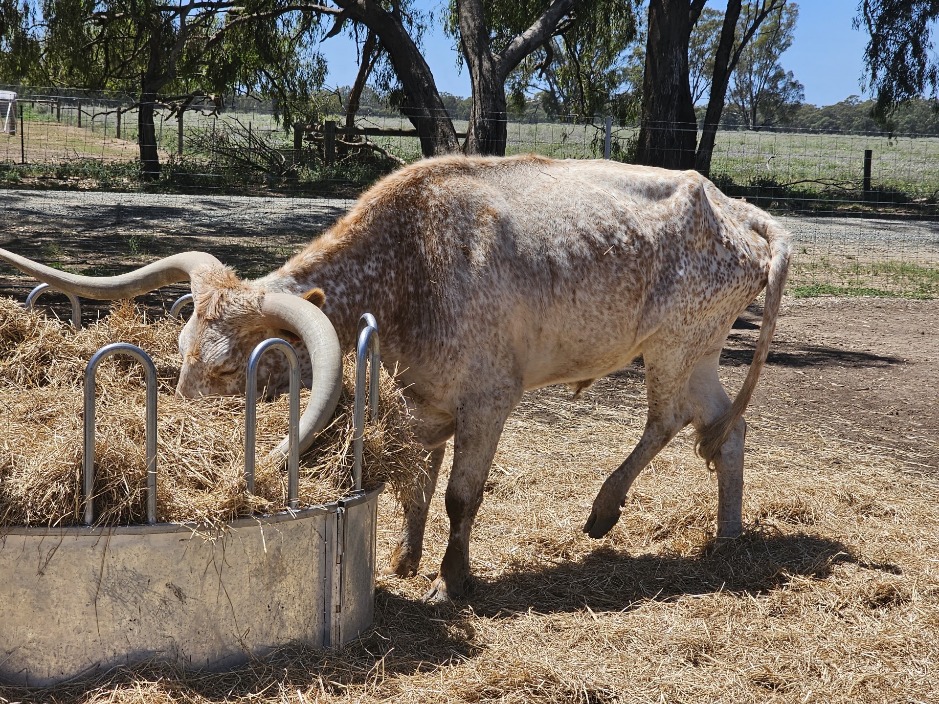 Billabong Ranch photo 2