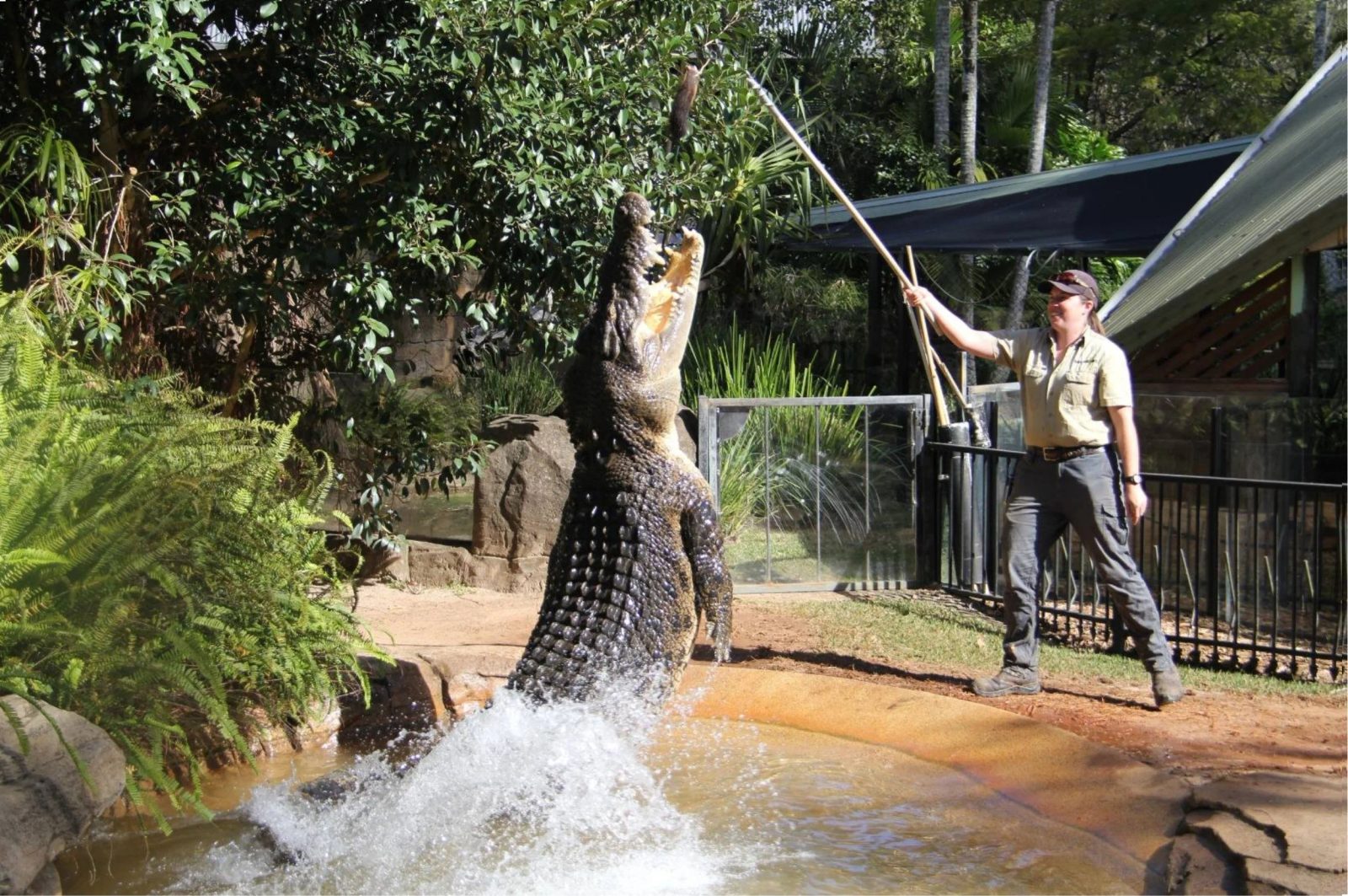 Billabong Zoo photo 3