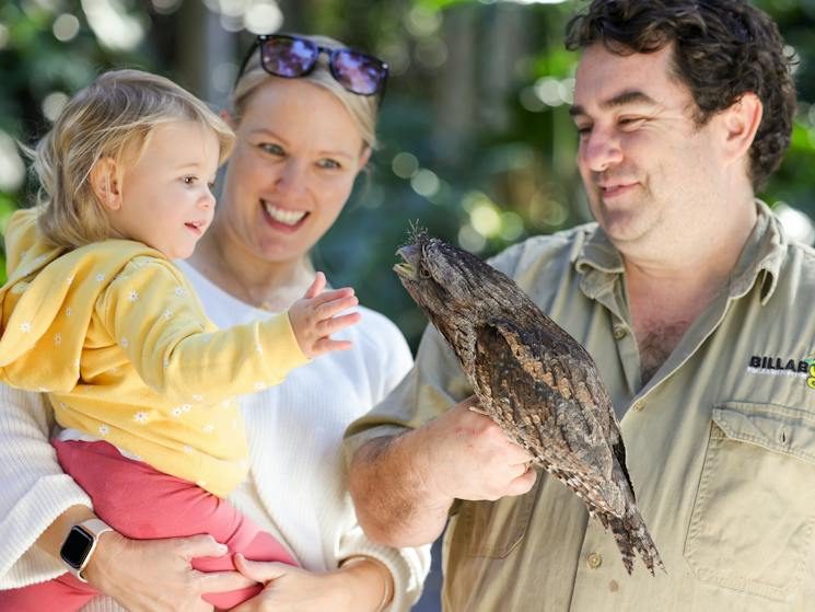Billabong Zoo photo 4