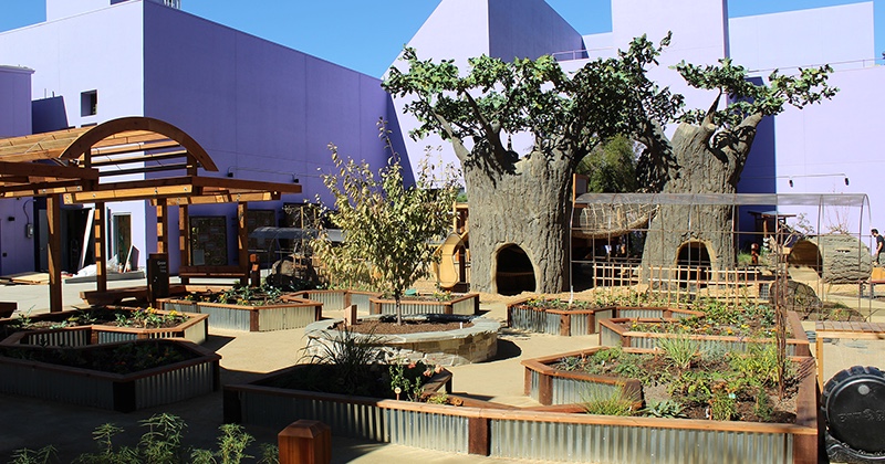 Bill's Backyard