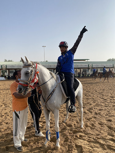 Bin Al Malas Stables