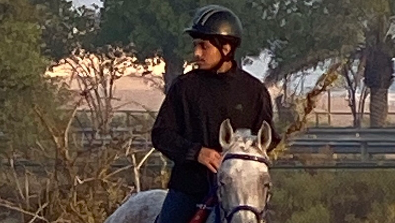 Bin Al Malas Stables photo 2