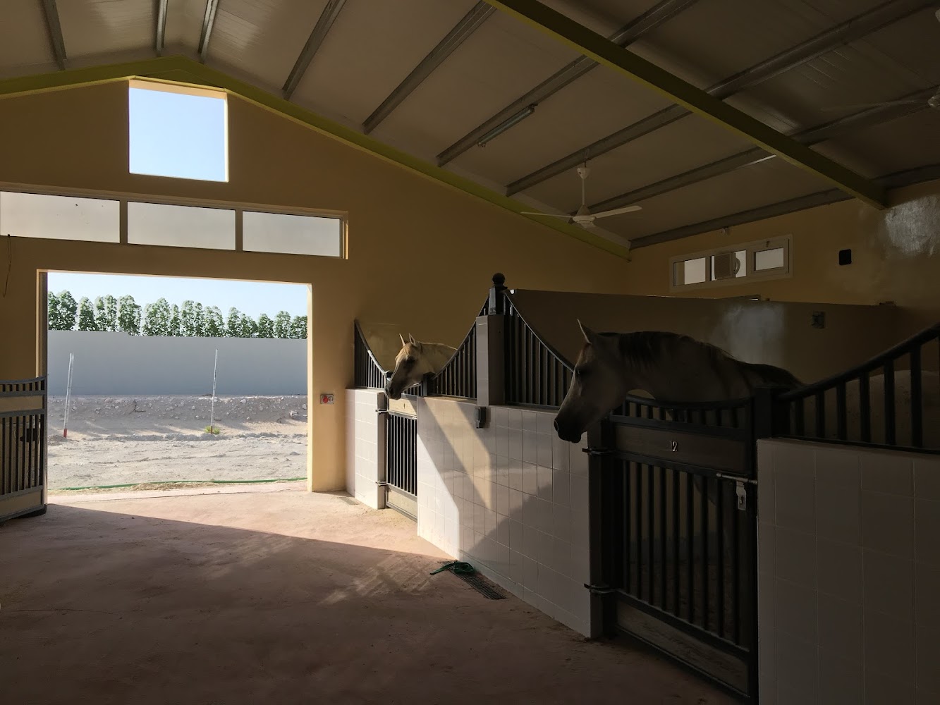 Bin Al Malas Stables photo 3