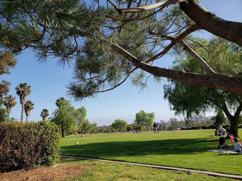 Bird Park at Morley Field