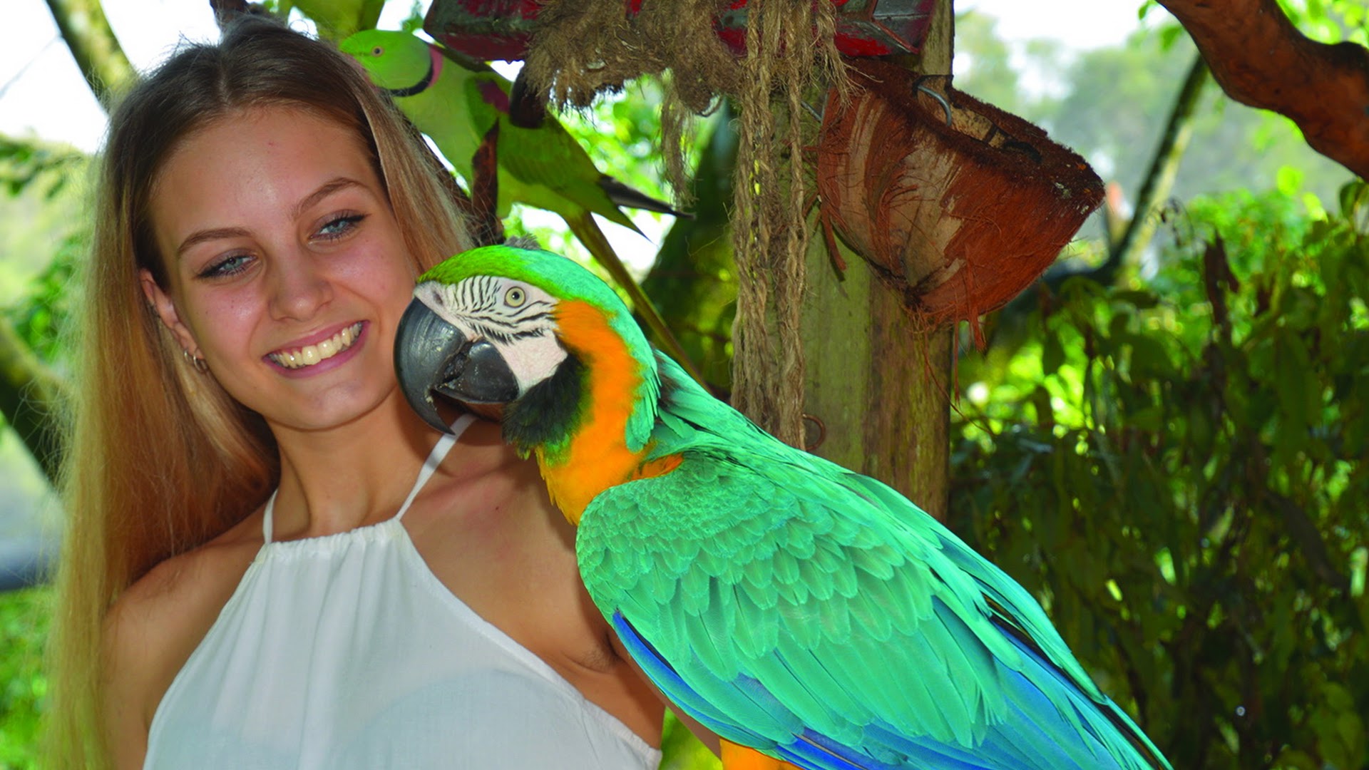 Photo of Birdworld Kuranda in Queensland