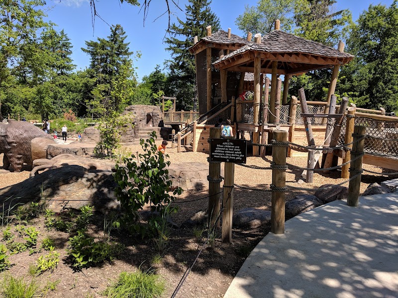 Bison's Bluff Nature Playground photo 3