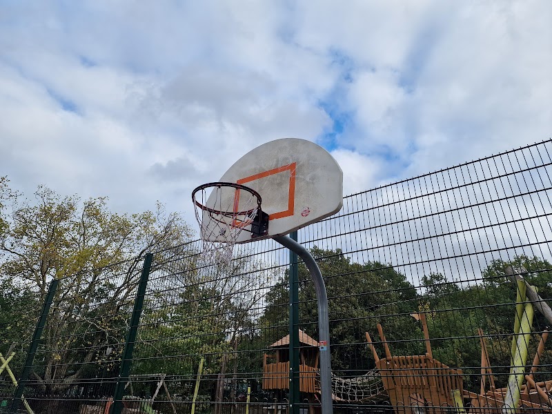 Bisterne Avenue Park Play Area photo 3
