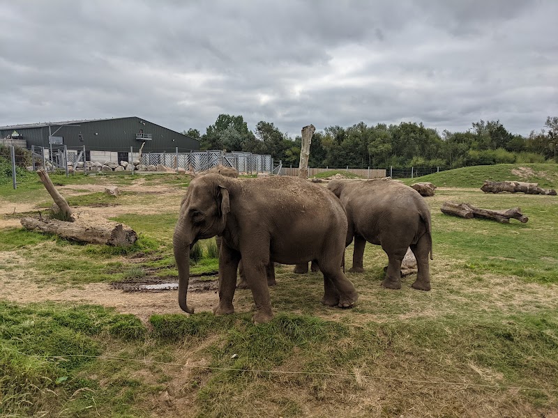 Blackpool Zoo photo 2