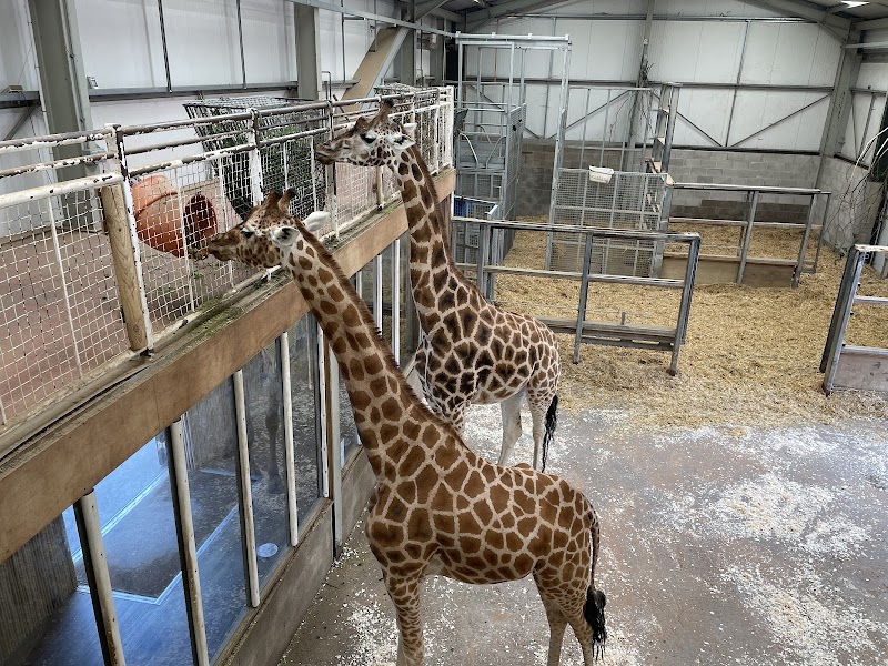 Blackpool Zoo photo 3