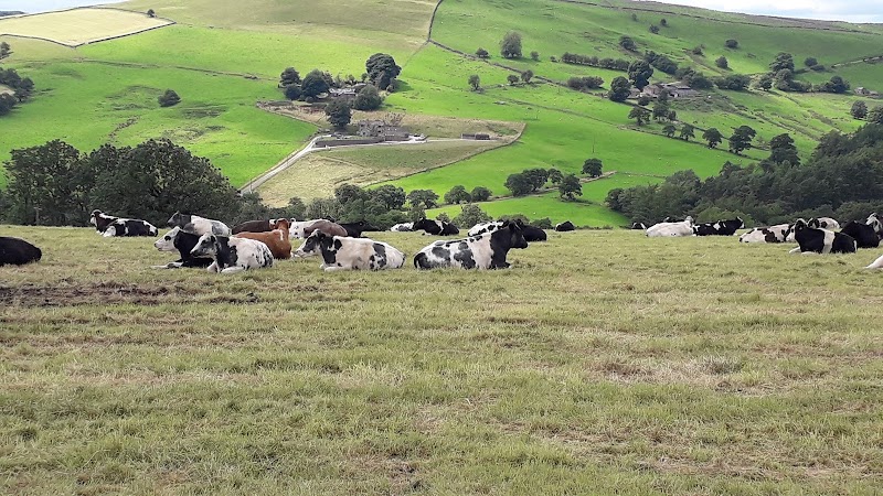 Blaze Farm & The Potty Sheep photo 3