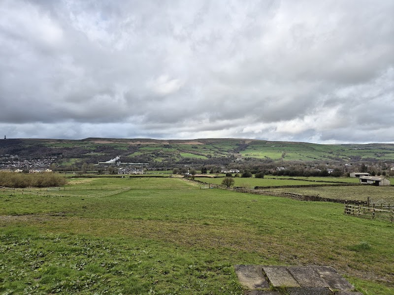 Bleakholt Animal Sanctuary photo 2