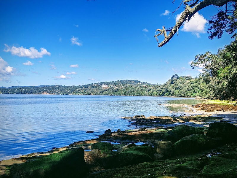 Blockhouse Bay Beach Reserve photo 3