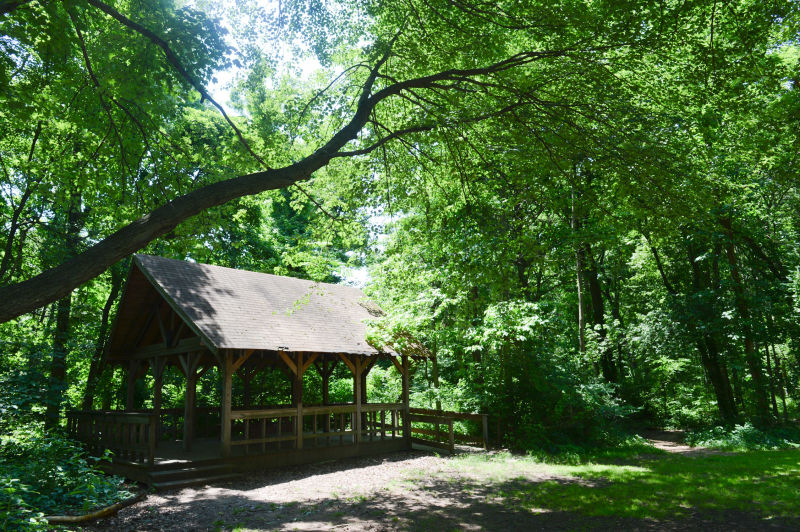 Blue Heron Park photo 2