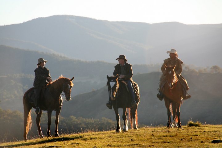 Blue Mountains Horse Riding photo 3