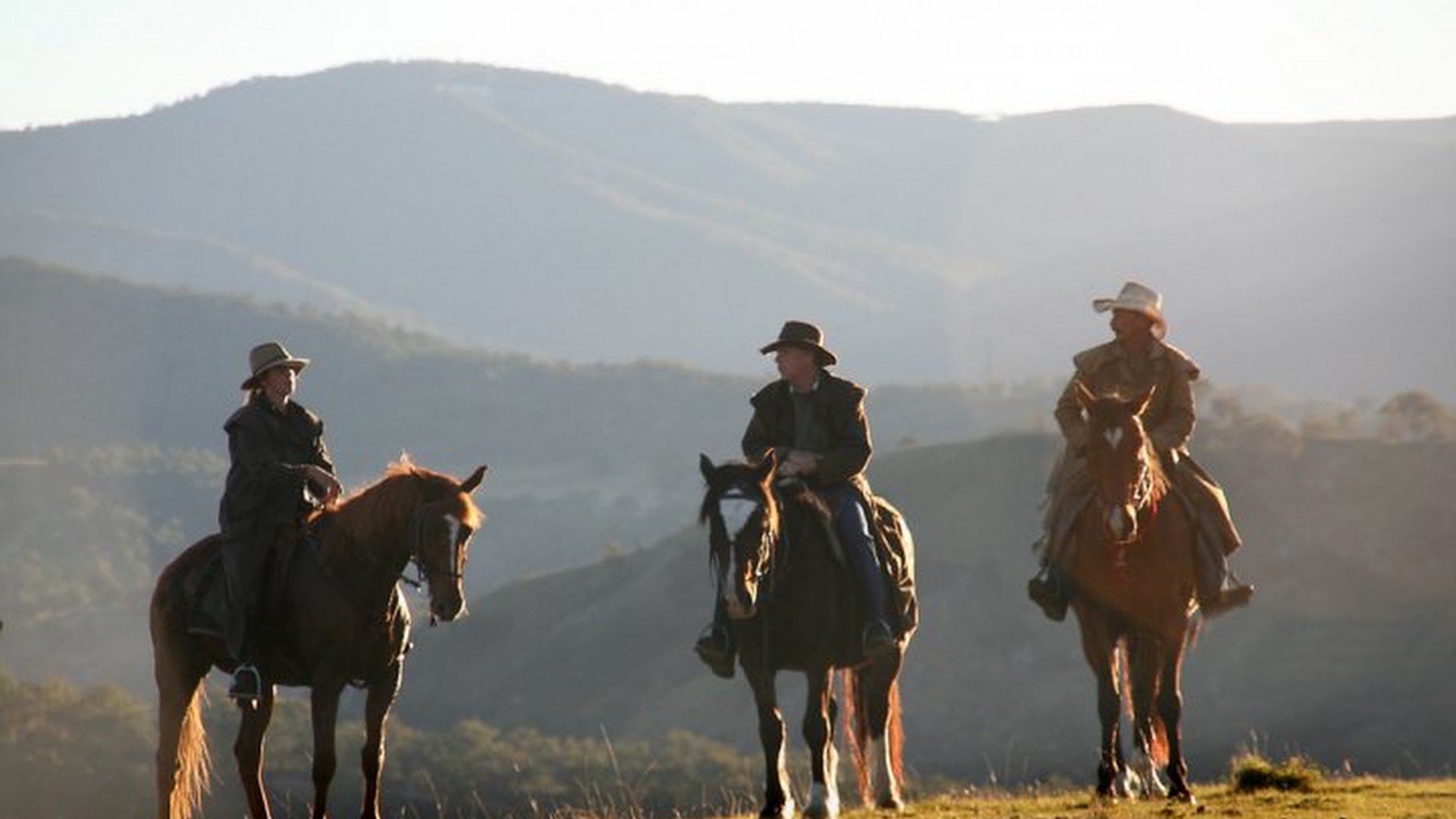 Blue Mountains Horse Riding photo 3