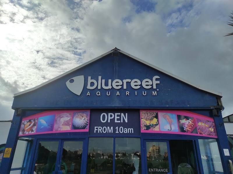 Blue Reef Aquarium Portsmouth photo 2