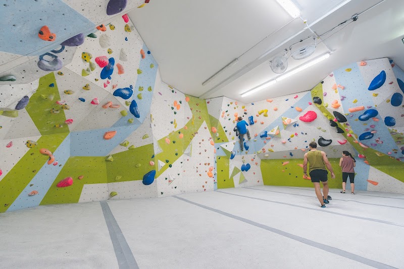 Blue Spider Climbing photo 2