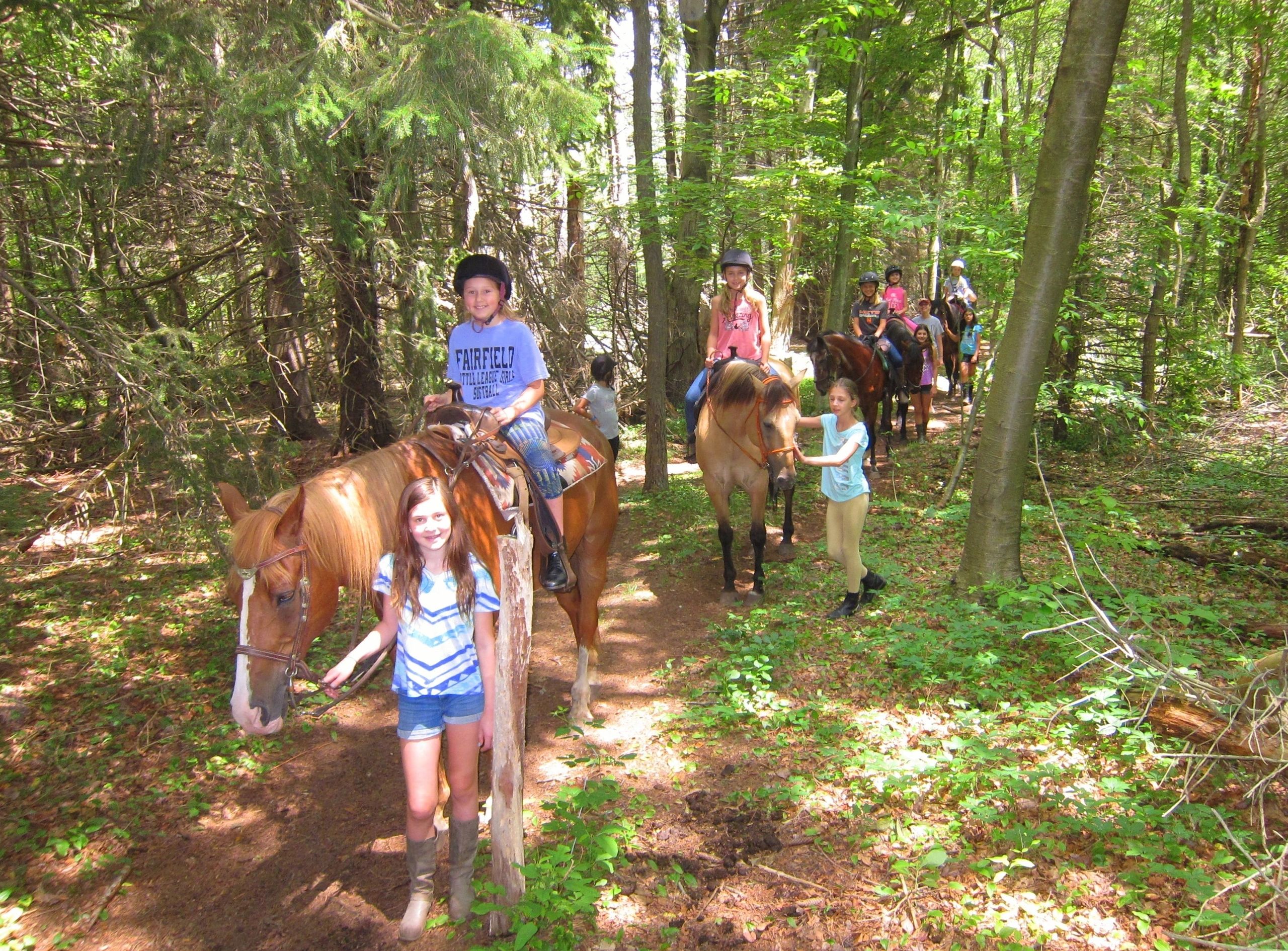 Blue Spruce Farm