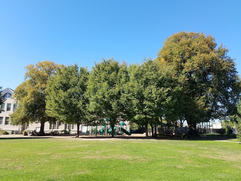 Blumenfeld Family Park photo 3