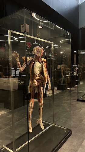 Body Museum